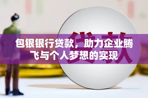 大武包银银行贷款，助力企业腾飞与个人梦想的实现