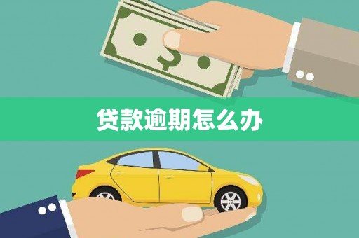 徐闻贷款逾期怎么办