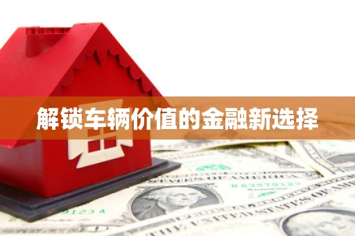 新龙解锁车辆价值的金融新选择