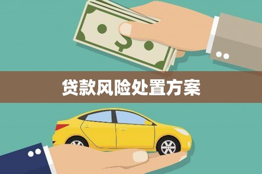 邯郸贷款风险处置方案