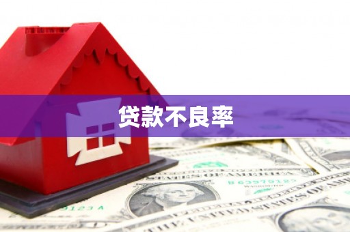 南投贷款不良率