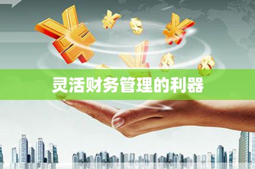 多伦灵活财务管理的利器