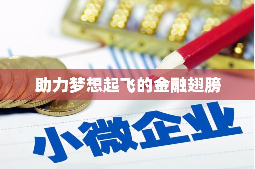 天津助力梦想起飞的金融翅膀