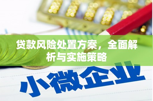 江源贷款风险处置方案，全面解析与实施策略