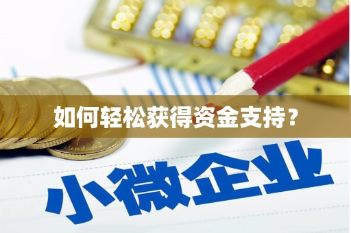 西盟如何轻松获得资金支持？