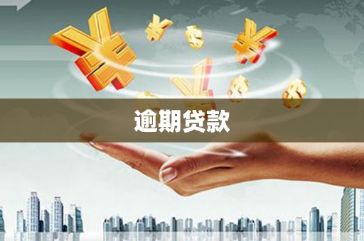 叶县逾期贷款