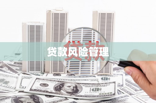 苍溪贷款风险管理