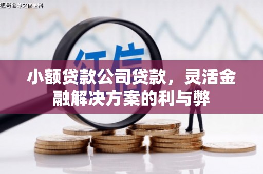 咸丰小额贷款公司贷款，灵活金融解决方案的利与弊